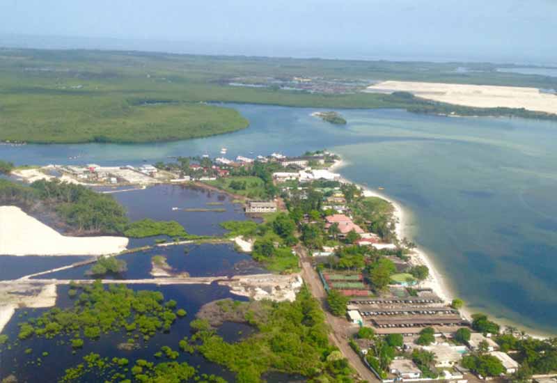 gabon negara kawasan hutan