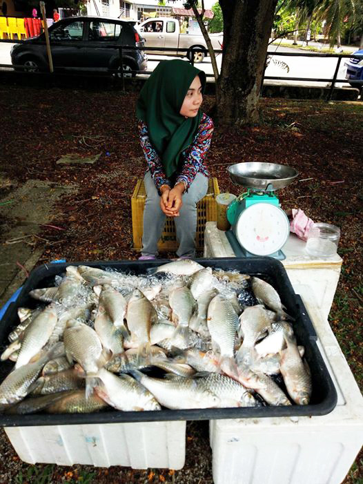 gadis jual ikan