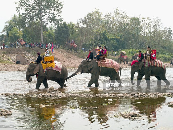 gajah asia