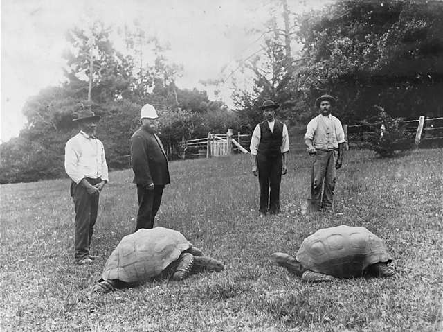 gambar jonathan dan penjaganya ketika ia pertama kali sampai di pulau saint helena pada tahun 1882