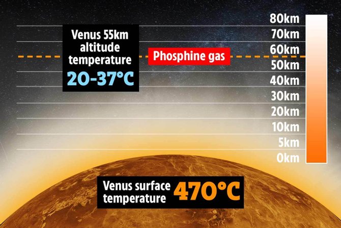 gas phosphine 101