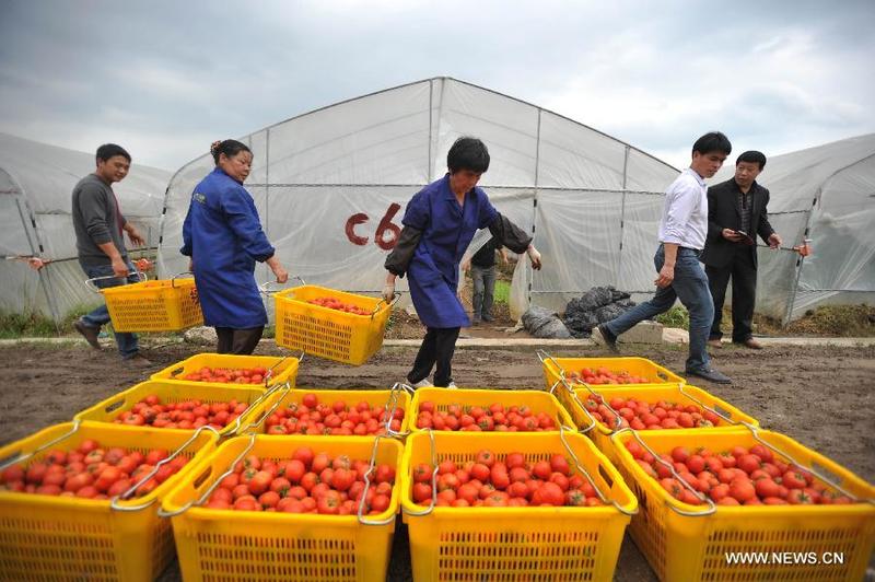 guangxi petani buah buahan dan sayuran