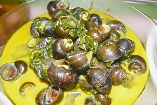 gulai siput gondang emas masak lemak