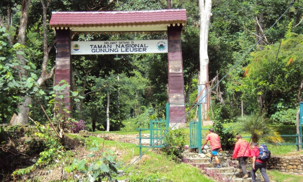 gunung leuser