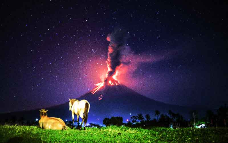 gunung mayon yang aktif