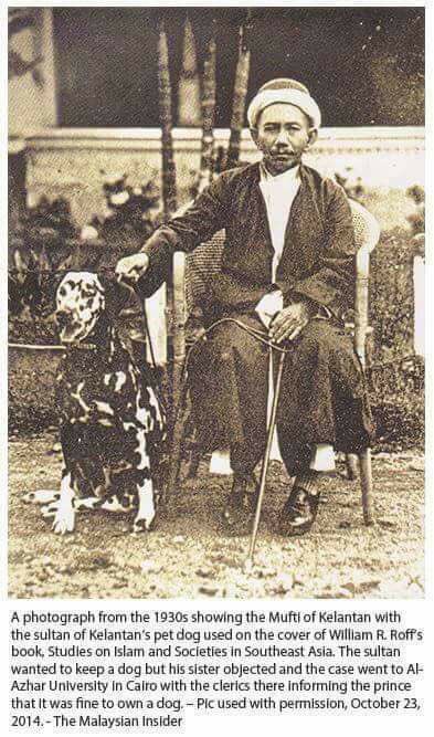 haji abbas taha dalmatian