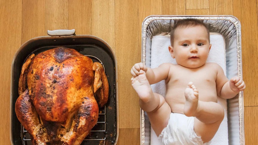 hidangan ayam belanda seberat bayi