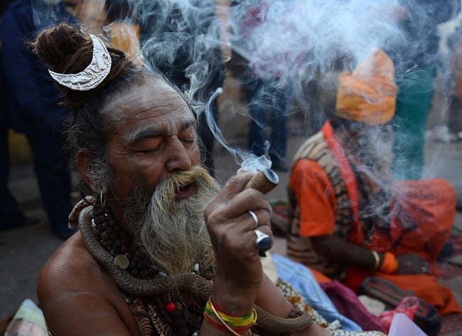 hindu dan ganja