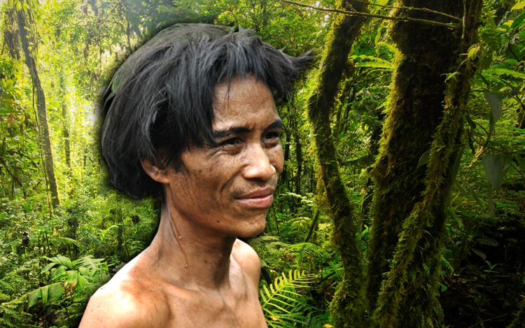 ho van lang real life tarzan sebenar