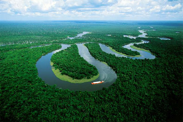 hutan amazon 903