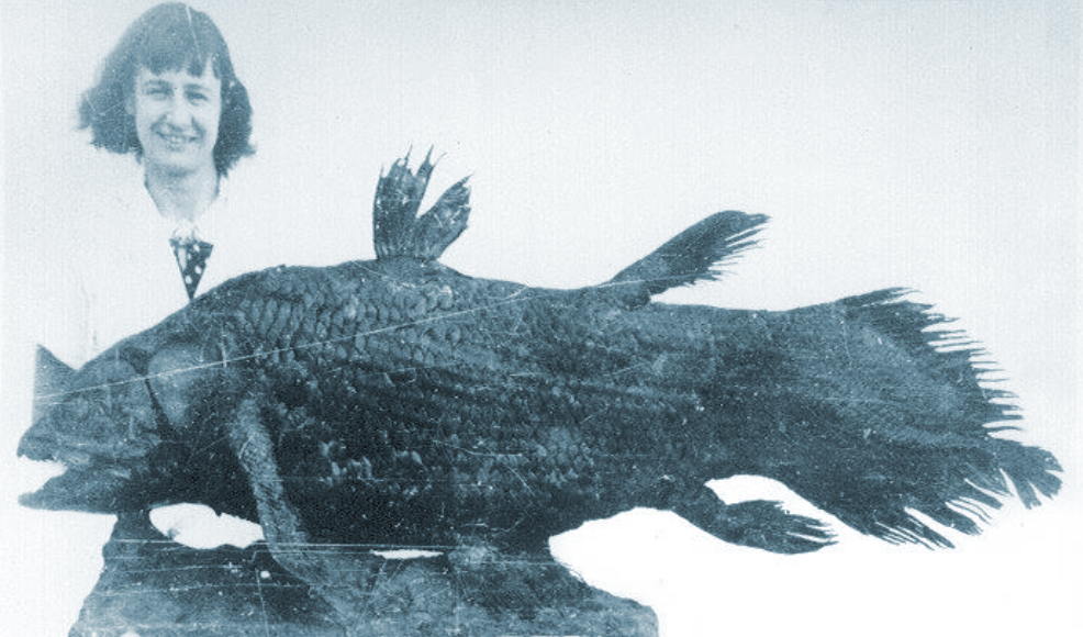 ikan coelacanth dan marjorie courtenay latimer