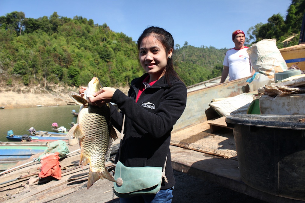 ikan kap penternakan