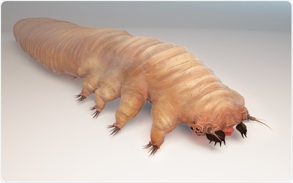 iluminasi demodex kutu wajah8