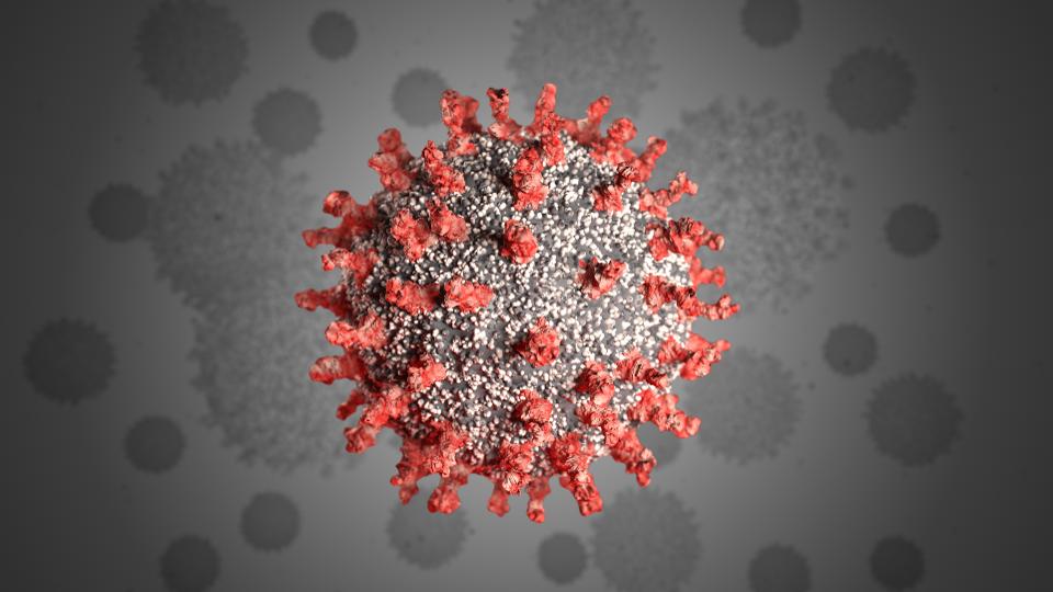 imej 3d novel coronavirus 110