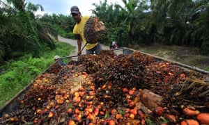 indonesia pengeluar minyak sawit terbesar di dunia