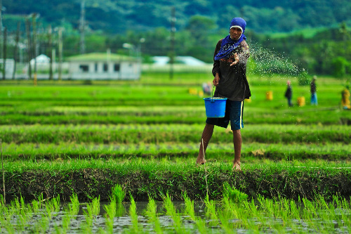 industri pertanian mampu memberikan pulangan lumayan