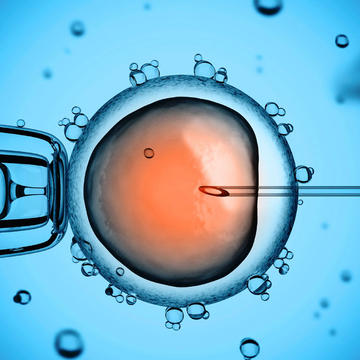 ivf 182