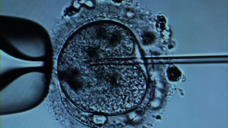 ivf 725