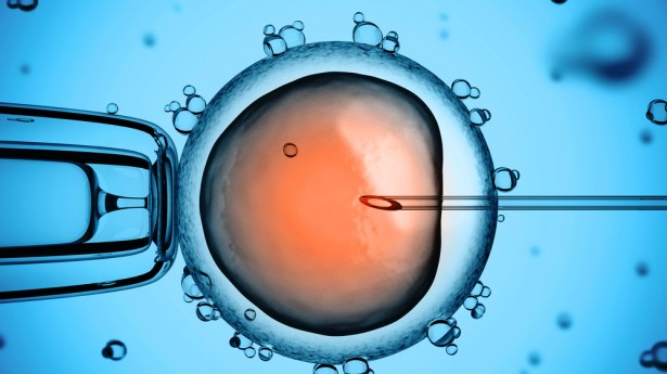 ivf