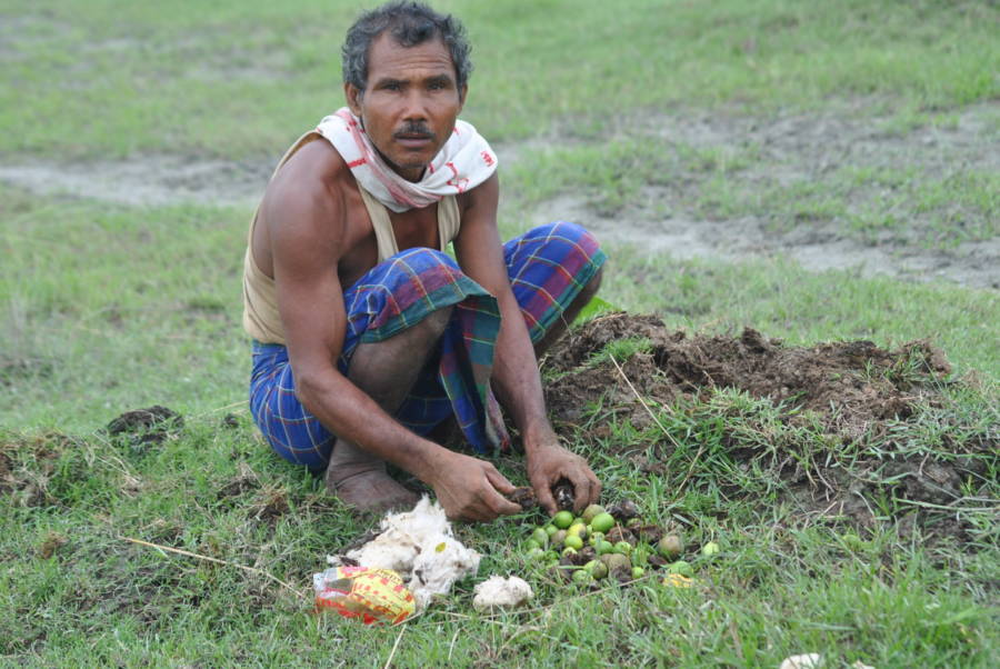 jadav payeng menanam benih pokok