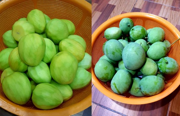 jeruk mangga 3