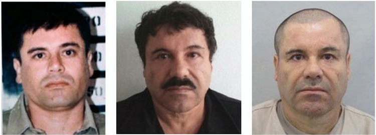 joaquin el chapo guzman