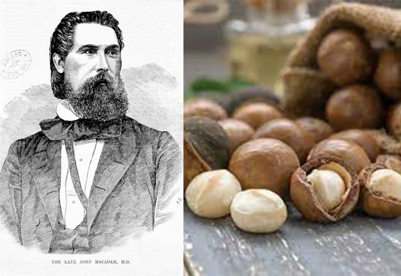 john macadam kacang macadamia