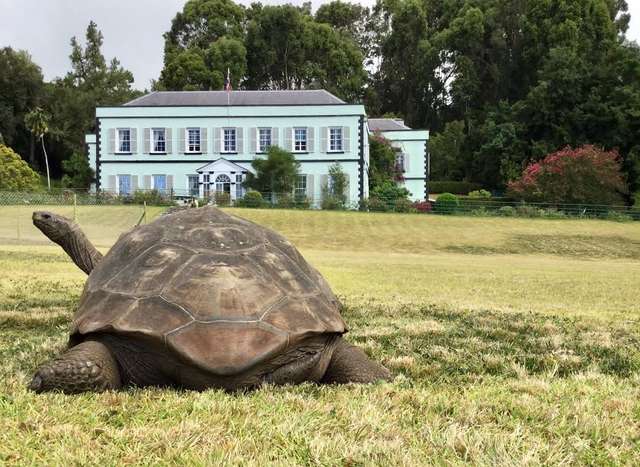 jonathan di hadapan rumah gabenor saint helena