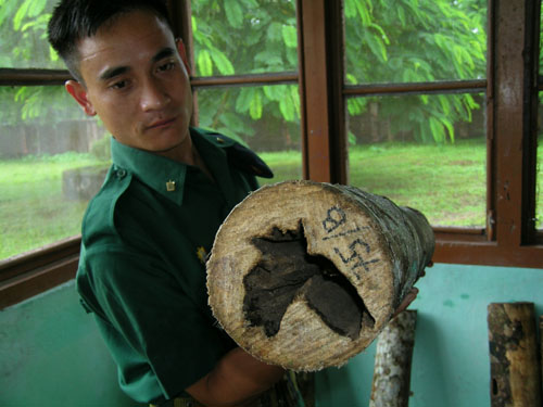 kayu gaharu atau oud