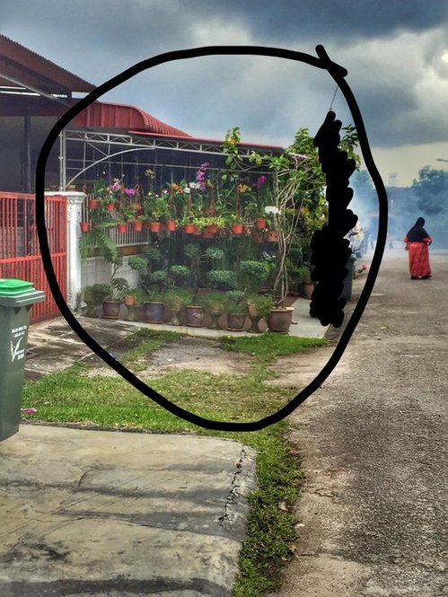 kegiatan fogging nyamuk aedes