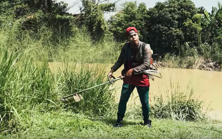 kenapa rumput berbau pelik selepas potong