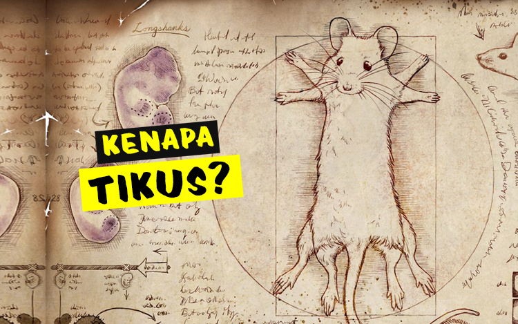 kenapa tikus dijadikan ujian makmal