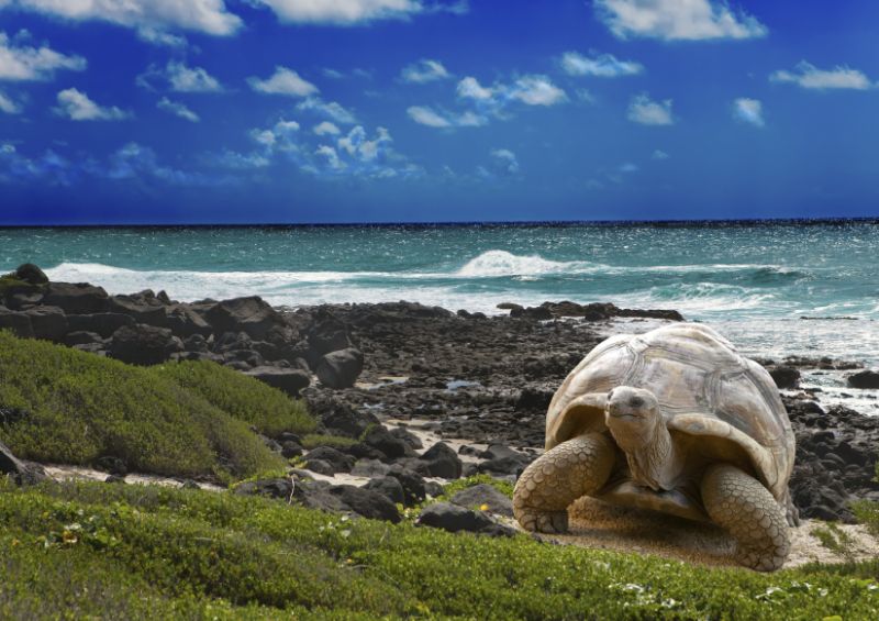 kepulauan galapagos