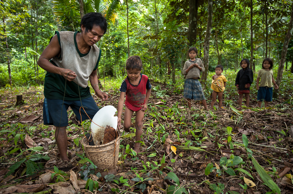 kepupusan orang asli 965