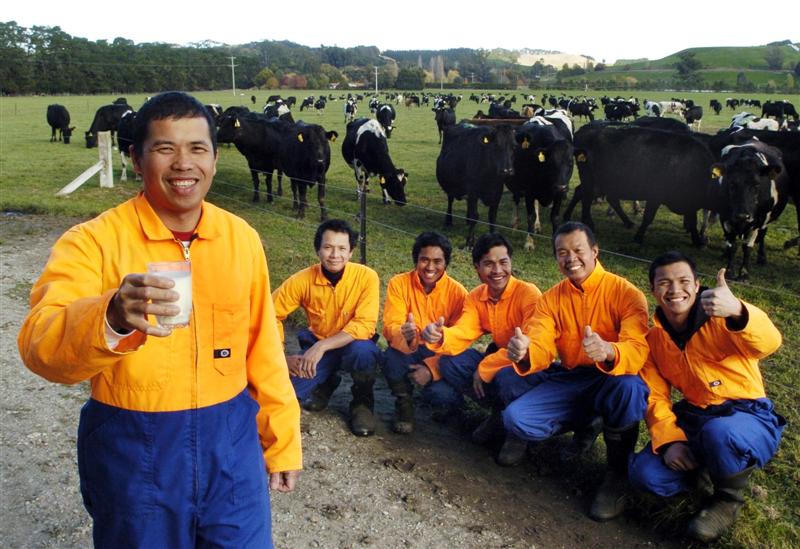 kerja di ladang di new zealand