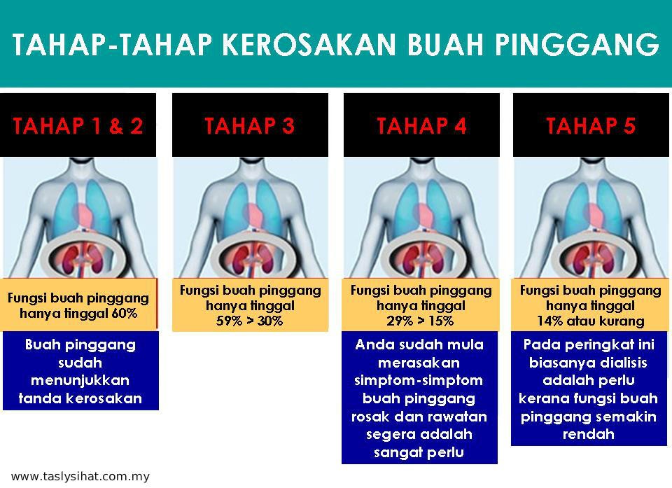 kerosakan buah pinggang