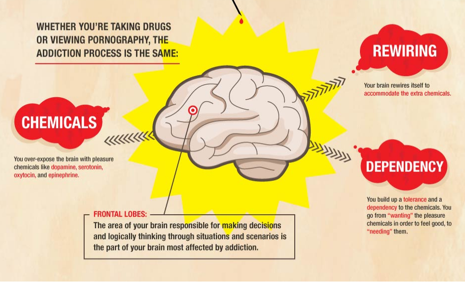kesan pornografi kepada otak