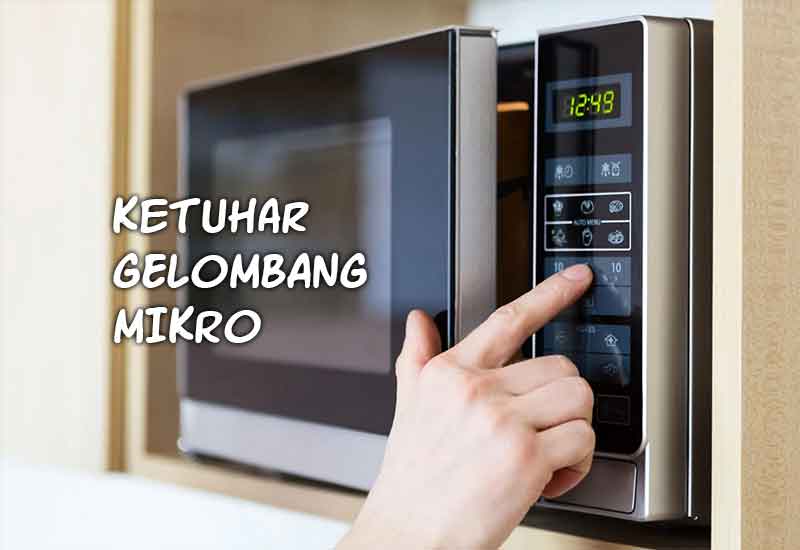 ketuhar gelombang mikro