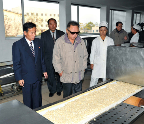 kim jong il pemeriksa beras