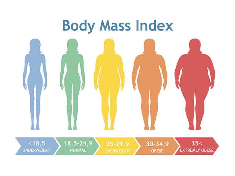 kiraan bmi badan