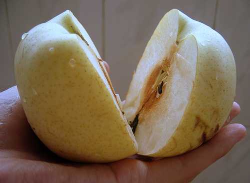 kongsi buah pear