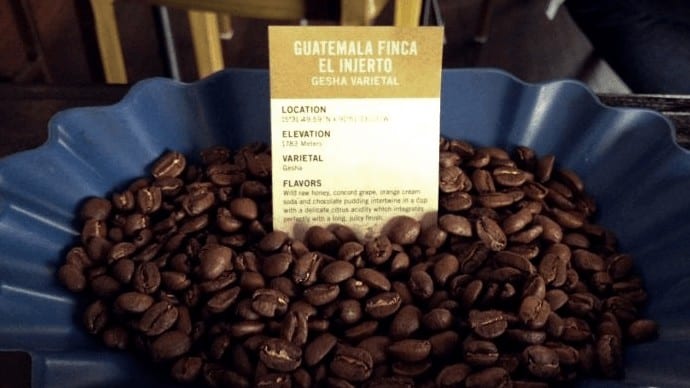 kopi finca el injerto