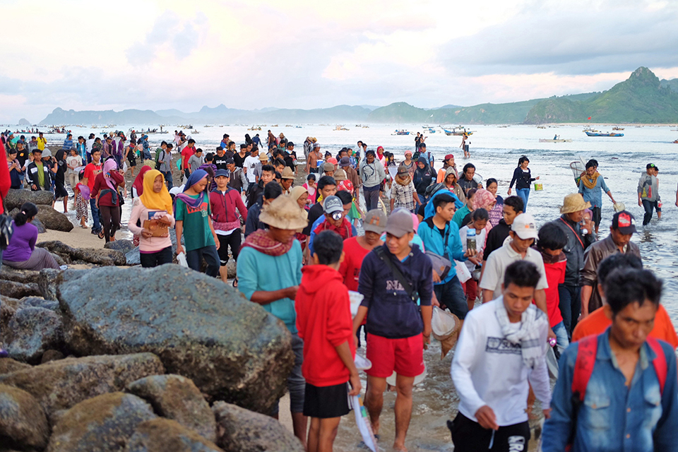 korban darah kaum sumba pasola lawan lembing atas kuda kepercayaan indonesia nyale tangkap cacing laut