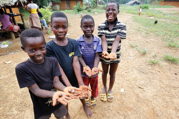 krisis kekurangan makanan di liberia