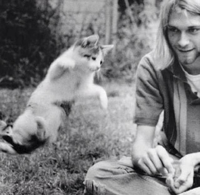 kurt cobain sukakan haiwan terutamanya kucing 2