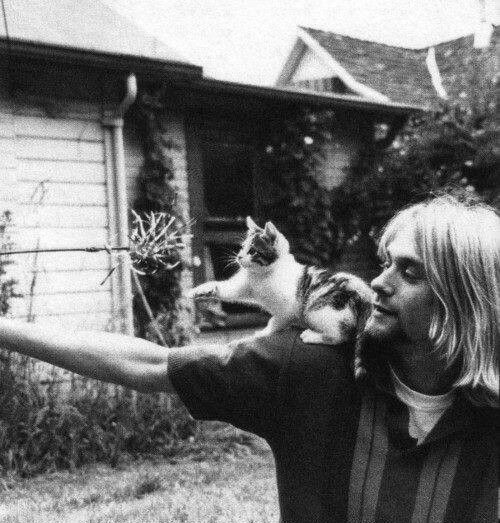 kurt cobain sukakan haiwan terutamanya kucing