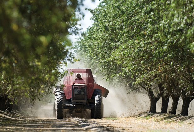 ladang stewart dan lynda resnick di california