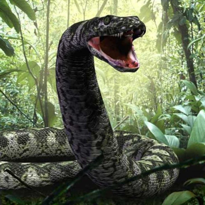 lakaran titanoboa