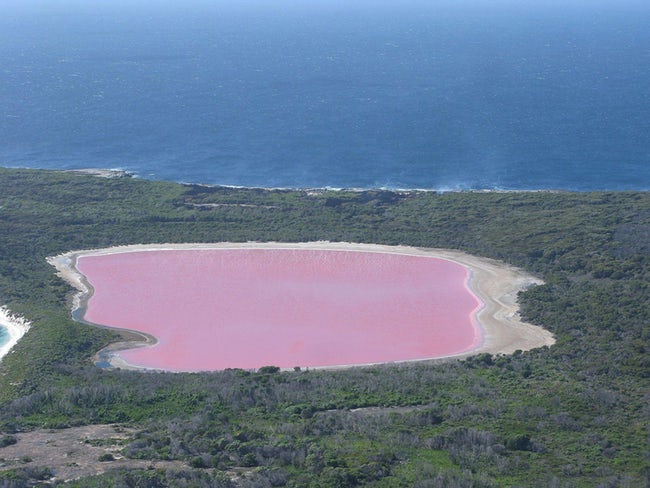 lake hillier australia