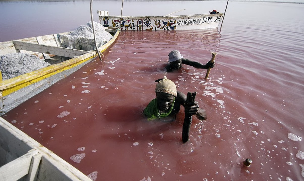 lake retba tasik pink seperti laut mati yang terkenal di senegal